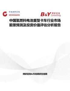 中國氫燃料電池重型卡車行業(yè)市場前景預(yù)測及投資價值評估分析報告