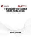 中国汽车制动蹄片行业市场前景预测及投资价值评估分析报告