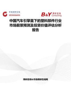 中国汽车引擎盖下的塑料部件行业市场前景预测及投资价值评估分析报告