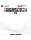 中国汽车引擎盖下电气和电子行业市场前景预测及投资价值评估分析报告