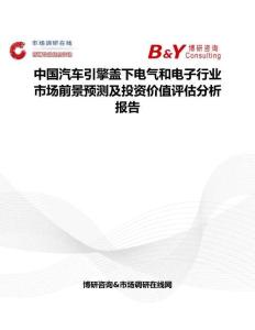 中国汽车引擎盖下电气和电子行业市场前景预测及投资价值评估分析报告