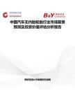 中国汽车无内胎轮胎行业市场前景预测及投资价值评估分析报告