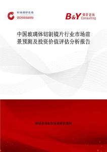 中國玻璃體切割鏡片行業市場前景預測及投資價值評估分析報告
