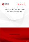 中國電動尾翼行業市場前景預測及投資價值評估分析報告