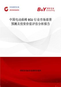 中國(guó)電動(dòng)座椅ECU行業(yè)市場(chǎng)前景預(yù)測(cè)及投資價(jià)值評(píng)估分析報(bào)告
