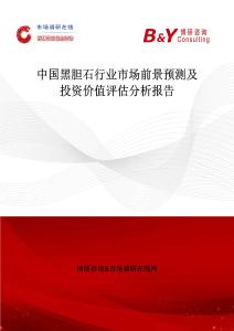中國黑膽石行業市場前景預測及投資價值評估分析報告