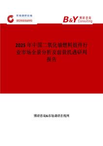 2025年中国二氧化铀燃料组件行业市场全景分析及前景机遇研判报告