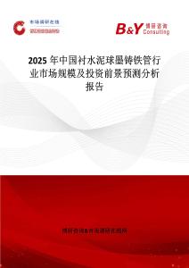 2025年中国衬水泥球墨铸铁管行业市场规模及投资前景预测分析报告