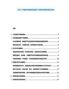2025中国充电基础设施产业链协同发展白皮书