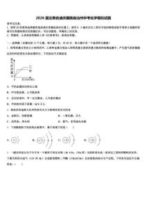 2026届云南省迪庆藏族自治州中考化学模拟试题（含答案解析）