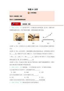 專題04 光學（2大考點）（原卷版）