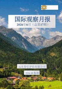 远东资信-国际观察月报2026年6月（总第17期）