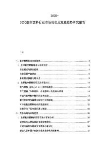 2025-2030航空燃料行業市場現狀及發展趨勢研究報告