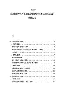 2025-2030軟件開發外包企業發展策略和技術應用能力的評估報告書