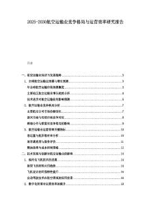 2025-2030航空運輸業競爭格局與運營效率研究報告