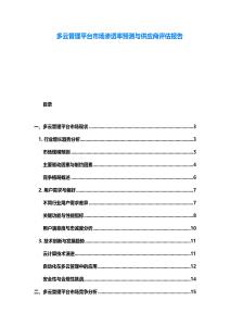 多云管理平臺市場滲透率預測與供應商評估報告