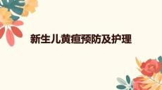 新生儿黄疸预防及护理