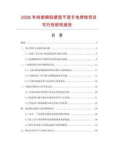 2026年纯紫铜轻便型不烫手电焊钳项目可行性研究报告