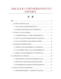 2026及未來5年漂白緞條床單項目可行性研究報告