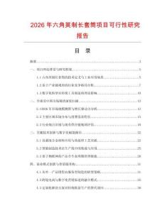 2026年六角英制長套筒項目可行性研究報告