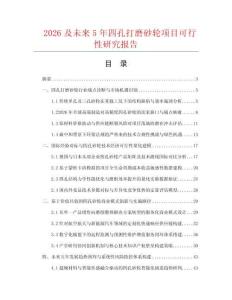 2026及未來5年四孔打磨砂輪項目可行性研究報告