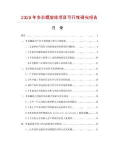 2026年多芯螺旋線項目可行性研究報告
