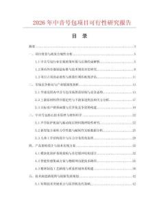 2026年中音號包項目可行性研究報告