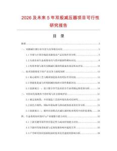 2026及未来5年双极减压器项目可行性研究报告