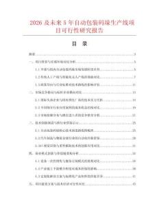 2026及未來5年自動(dòng)包裝碼垛生產(chǎn)線項(xiàng)目可行性研究報(bào)告