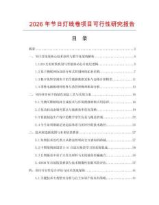 2026年节日灯线卷项目可行性研究报告