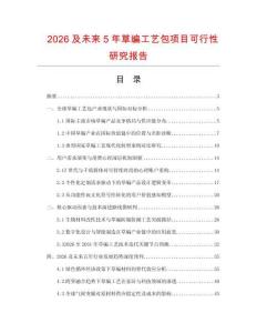 2026及未来5年草编工艺包项目可行性研究报告