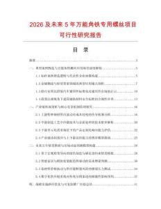 2026及未來5年萬能角鐵專用螺絲項目可行性研究報告