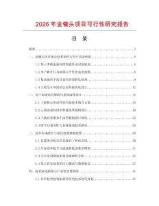 2026年金锄头项目可行性研究报告