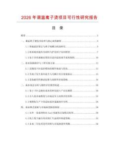 2026年調(diào)溫離子燙項目可行性研究報告