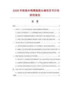 2026年核桃木柄精抛圆头锤项目可行性研究报告
