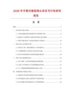 2026年手柄式微型探头项目可行性研究报告