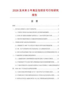 2026及未来5年高压包项目可行性研究报告