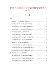 2026年英制杠杆千分表项目可行性研究报告