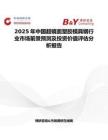 2025年中國超鏡面塑膠模具鋼行業市場前景預測及投資價值評估分析報告
