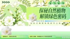 活動策劃 -2026夏日研學沉浸式趣味植物之旅活動方案 -探秘自然植物解鎖綠色密碼【研學】【夏季活動】