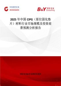 2025年中国CIPG（原位固化垫片）材料行业市场规模及投资前景预测分析报告