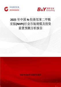 2025年中國N-羥基鄰苯二甲酰亞胺(NHPI)行業市場規模及投資前景預測分析報告