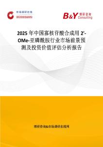 2025年中國寡核苷酸合成用2'-OMe-亞磷酰胺行業市場前景預測及投資價值評估分析報告