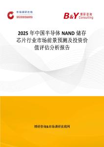 2025年中國半導體NAND儲存芯片行業市場前景預測及投資價值評估分析報告