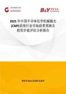 2025年中國半導體化學機械拋光(CMP)系統行業市場前景預測及投資價值評估分析報告