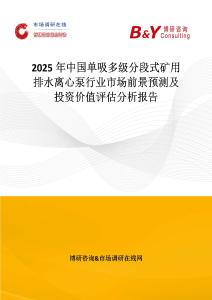 2025年中國單吸多級(jí)分段式礦用排水離心泵行業(yè)市場前景預(yù)測及投資價(jià)值評(píng)估分析報(bào)告
