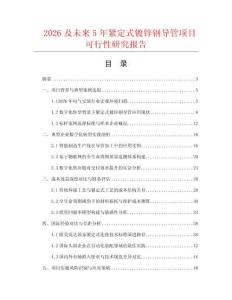 2026及未來5年緊定式鍍鋅鋼導管項目可行性研究報告