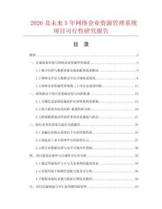 2026及未來5年網絡企業資源管理系統項目可行性研究報告