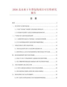 2026及未來5年背包鉤項目可行性研究報告