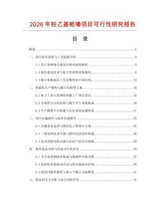 2026年羟乙基哌嗪项目可行性研究报告